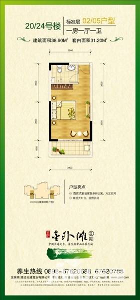 金江金外滩1室1厅1卫38.7㎡户型图