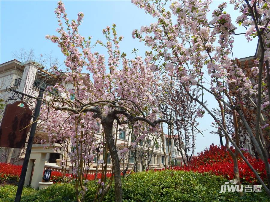 同科汇丰国际实景图图片