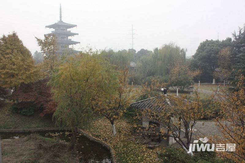 时代国际实景图图片