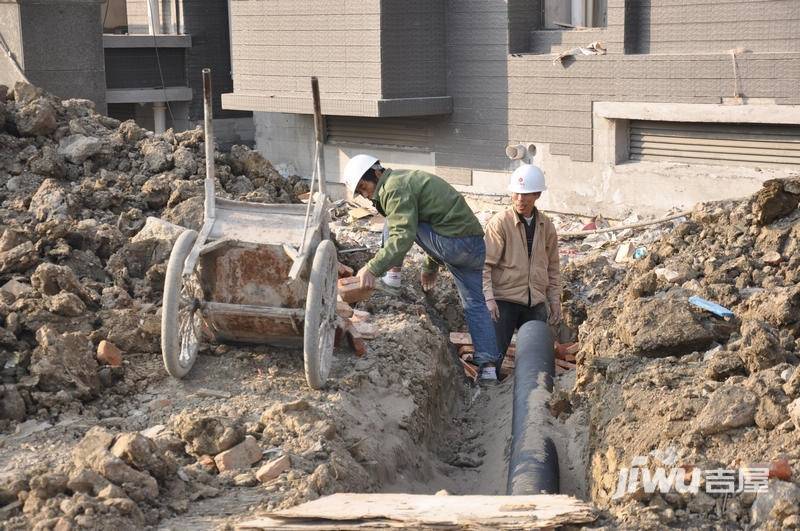 美新玫瑰大道实景图图片