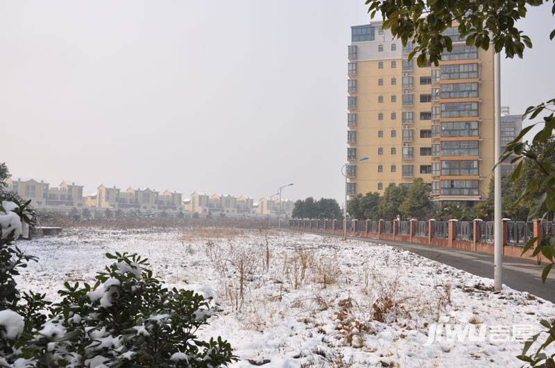 银河湾紫苑（封盘）实景图图片