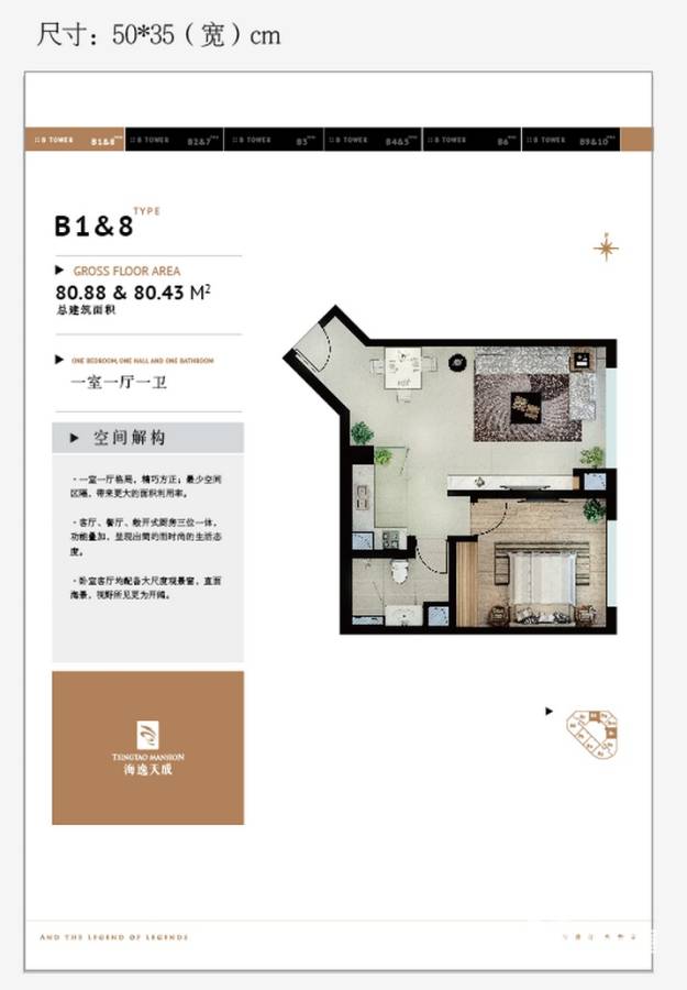 海逸天成普通住宅80.9㎡户型图