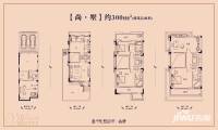 中海世纪公馆4室3厅3卫281㎡户型图