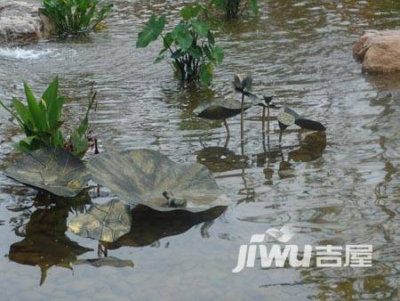 暖山国际城实景图图片