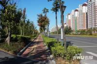 大华上海滩花园位置交通图图片