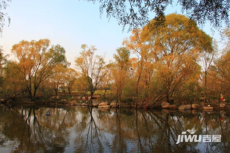 蓝石大溪地实景图图片