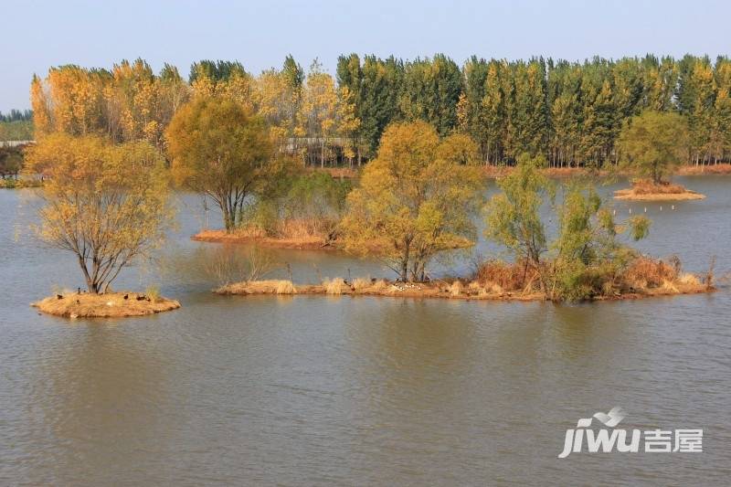 蓝石大溪地实景图306