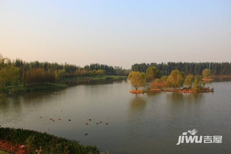 蓝石大溪地实景图图片