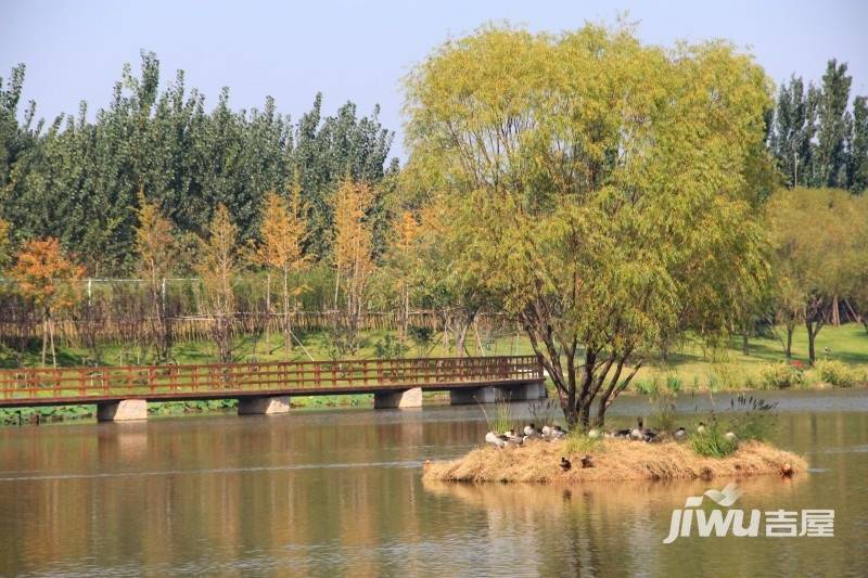 蓝石大溪地实景图图片