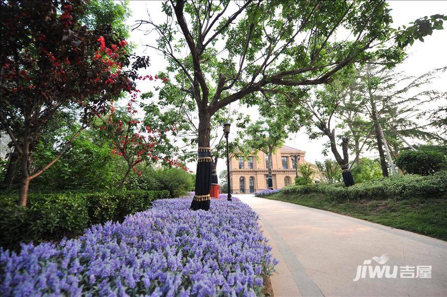 中海国际社区实景图图片