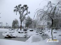 山水泉城实景图图片