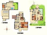 温泉国际普通住宅402㎡户型图