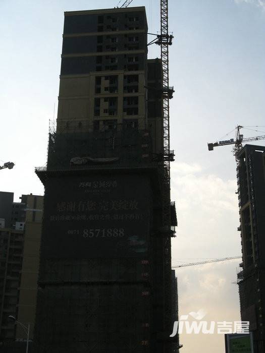 万科金域缇香实景图图片