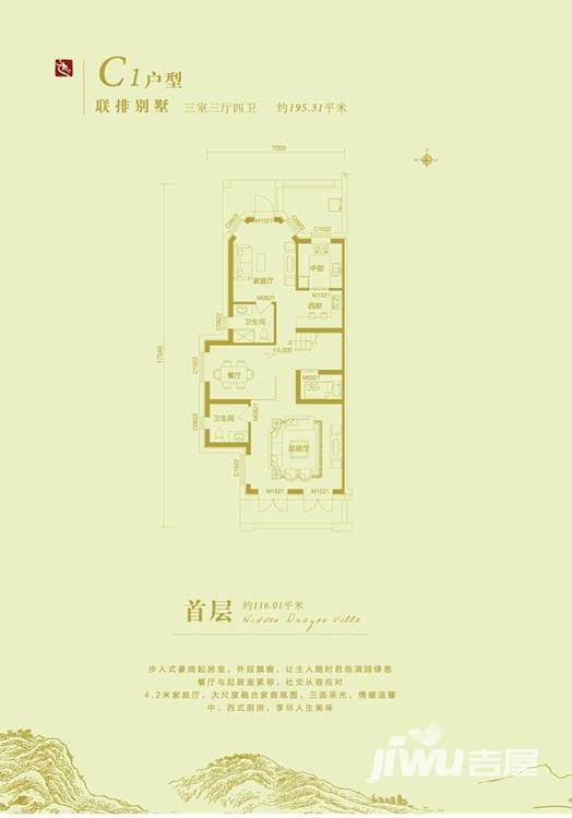 藏龙镇湖山里3室3厅4卫116㎡户型图