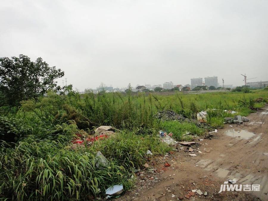 香江名邸实景图图片