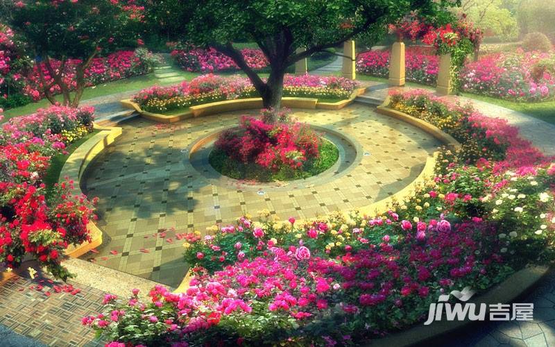 中海阳光玫瑰园效果图图片