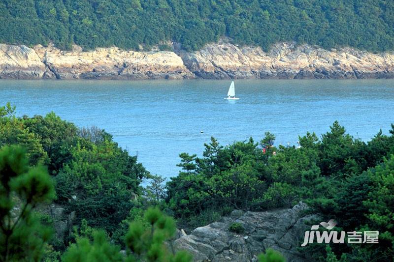 白沙湾玫瑰园实景图图片