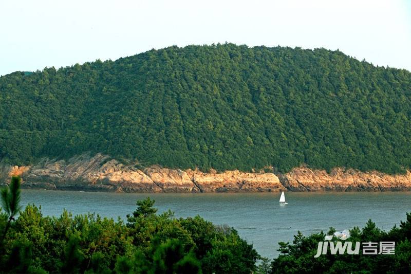 白沙湾玫瑰园实景图图片