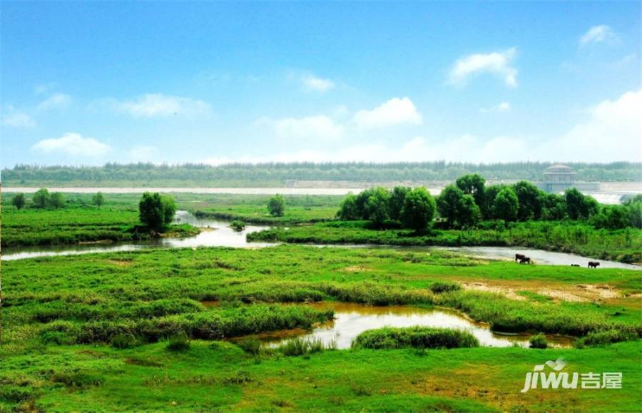 颐馨湿地壹號实景图