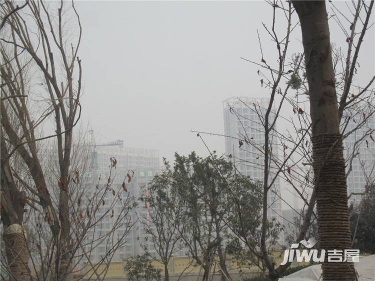 泾渭分明生态半岛实景图图片