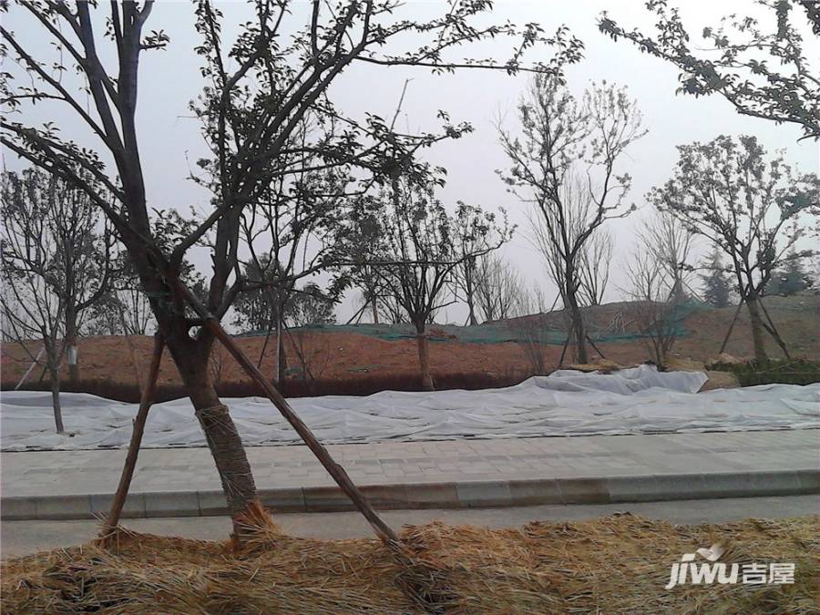 泾渭分明生态半岛实景图图片