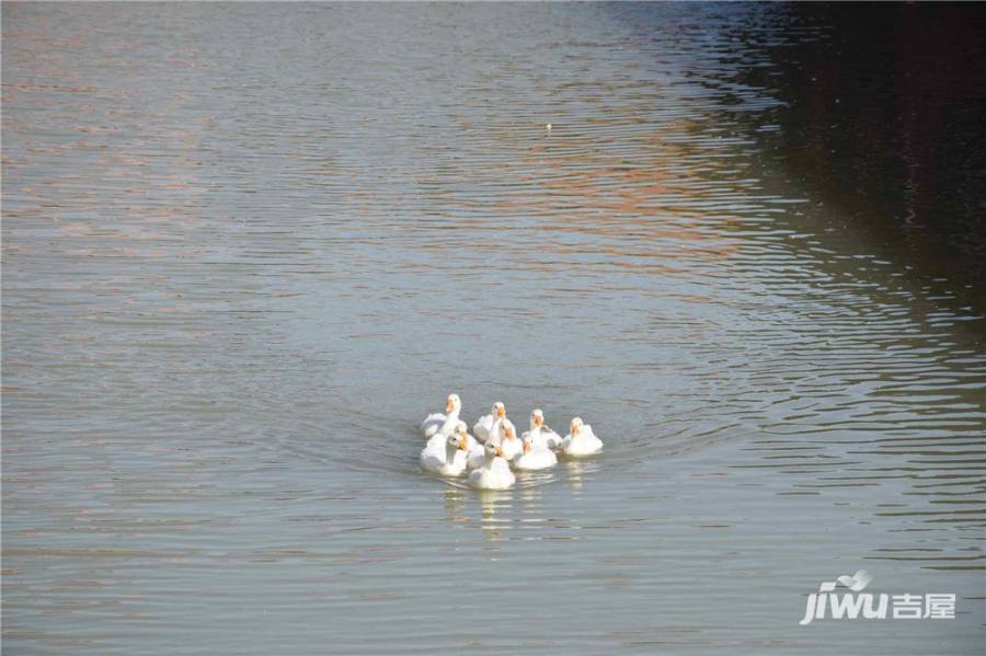 中铁琉森水岸实景图图片