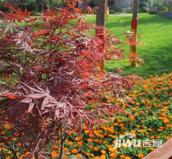 中海城实景图图片