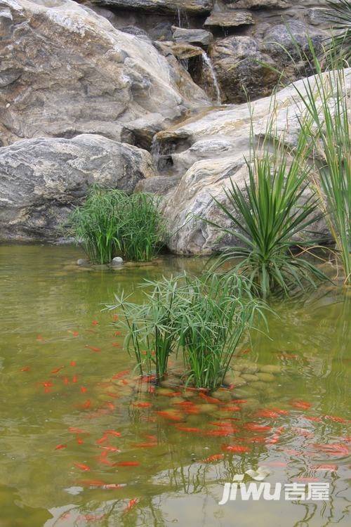 荣华水岸新城实景图图片