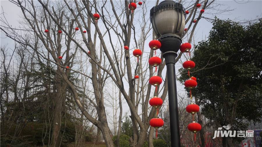 千林郡实景图图片