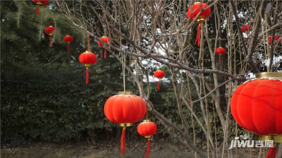 千林郡实景图图片