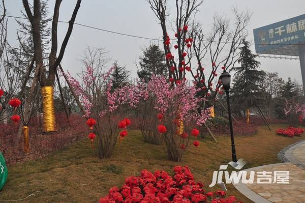 千林郡实景图图片