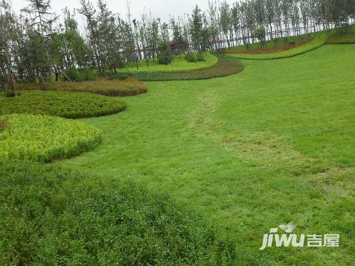 千林郡实景图图片