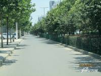 裕昌太阳城位置交通图图片