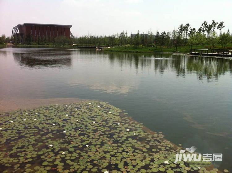 镜湖居配套图图片