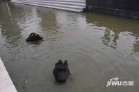 宏润翠湖天地实景图图片