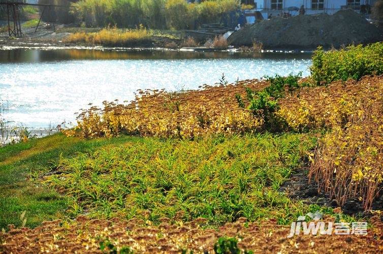 宏润翠湖天地实景图图片