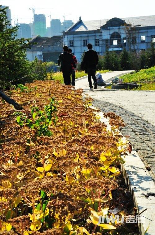 宏润翠湖天地实景图图片