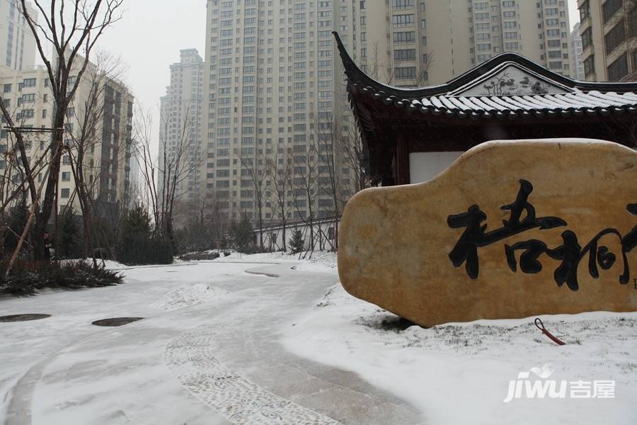 梧桐花园实景图图片