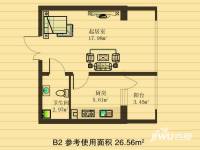 金丰优豪斯小区普通住宅26.6㎡户型图