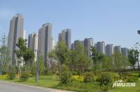 泰宏建业国际城实景图20