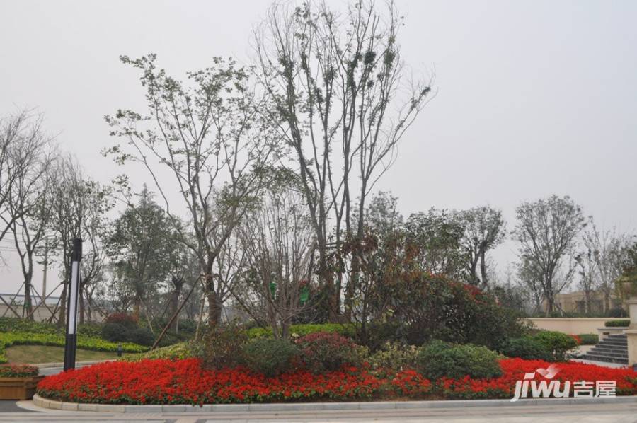 锦艺金水湾实景图图片