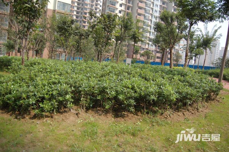 阳光花苑实景图图片