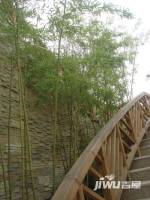 郑西建业森林半岛实景图图片