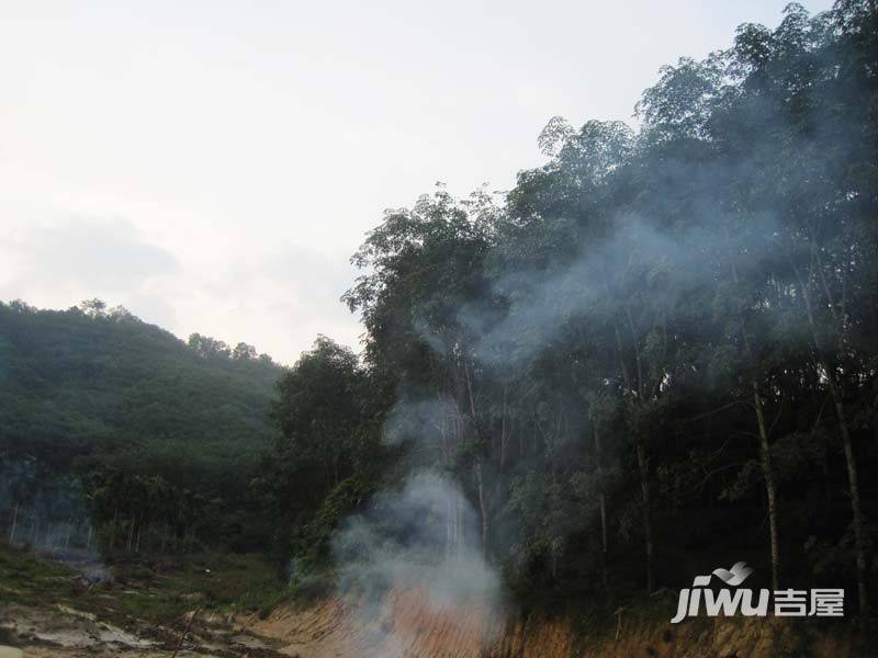 天山丽田实景图图片