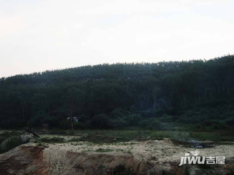 天山丽田实景图图片