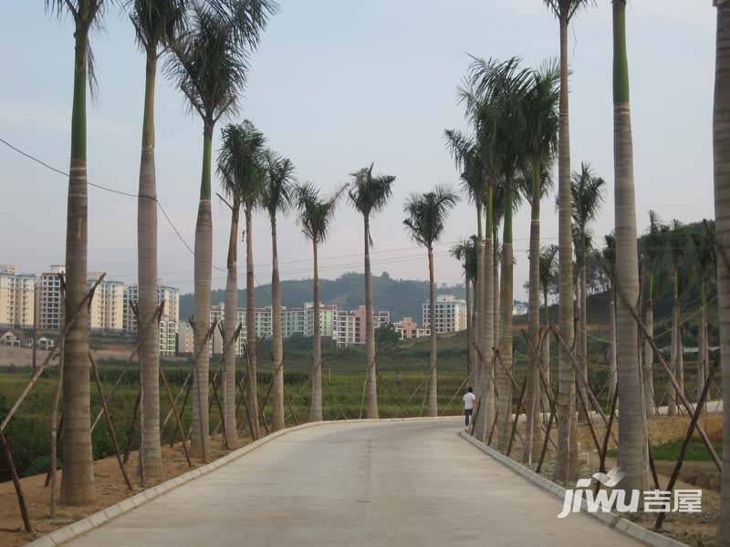 天山丽田实景图图片