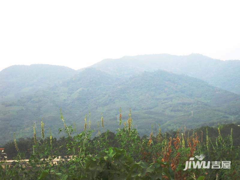 天山丽田实景图图片