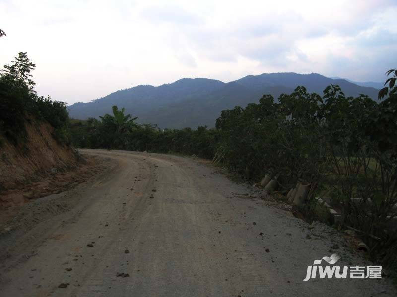 天山丽田实景图图片