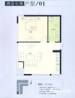 新湖印象江南二期1室1厅1卫70.1㎡户型图