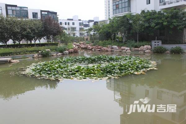 康城逸树实景图图片